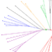 CTree image