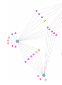 JNets image