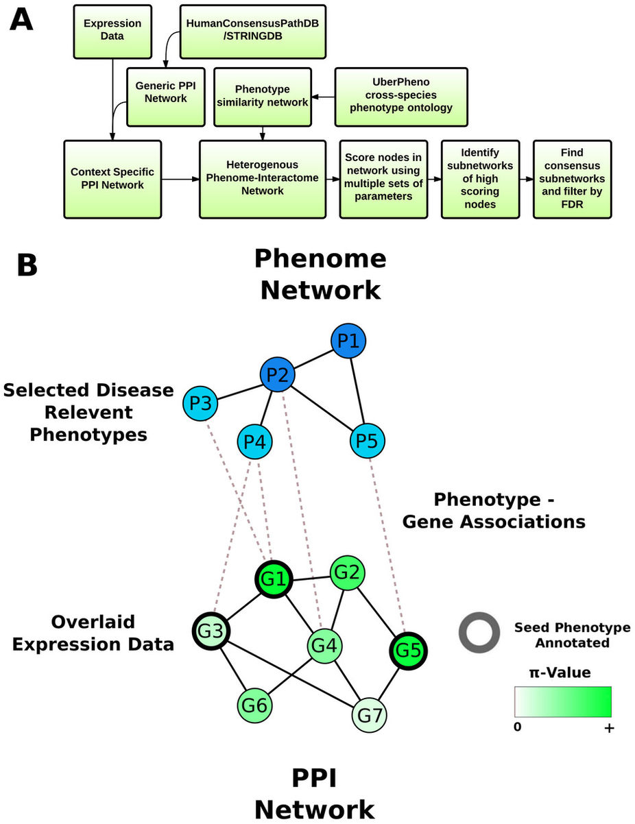 Summary of PhenomeExpress